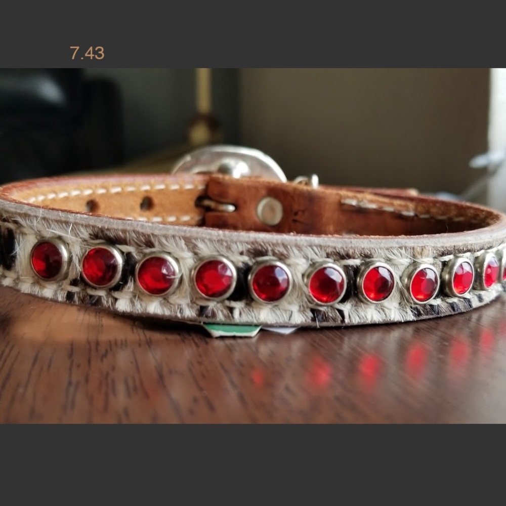 Rhinestone Bling 15'' DOG COLLAR RED STONES on hair VERY COOL 😎